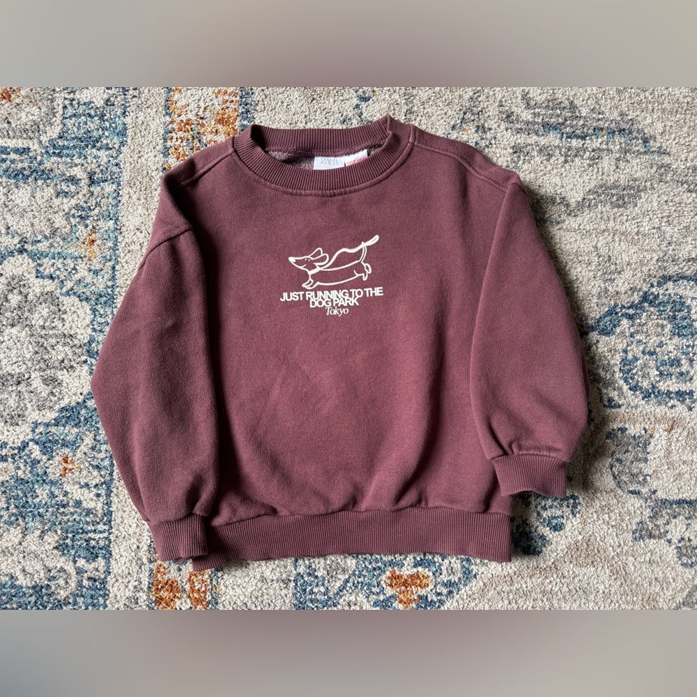 Zara Sweatshirt